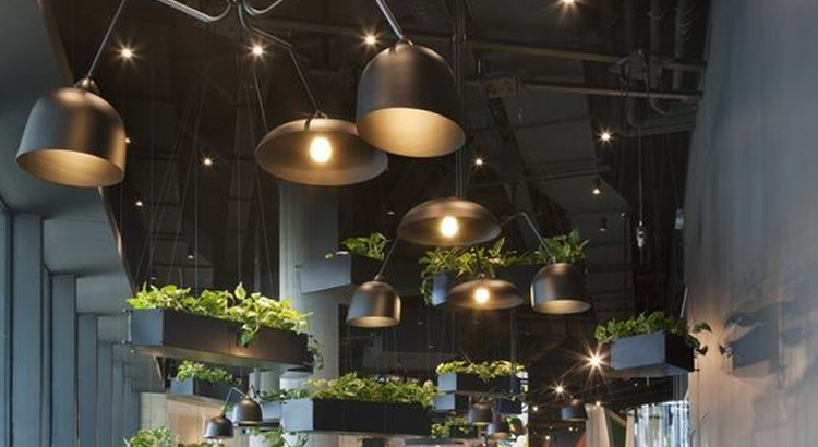 Modern Lighting and Ceiling Design